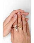 Anillo Curvas