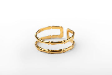 Anillo Doble Hueso