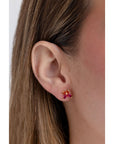 Broquel Mariposa Rosa con Rojo
