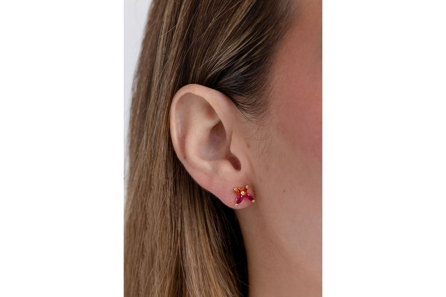 Broquel Mariposa Rosa con Rojo