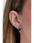Broquel azul y verde
