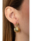 Aretes Concha de Mar Dorados