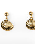 Aretes Concha de Mar Dorados