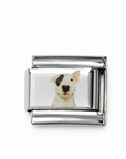 Charms Perros