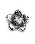 Piercings Acero Quirurgico IX