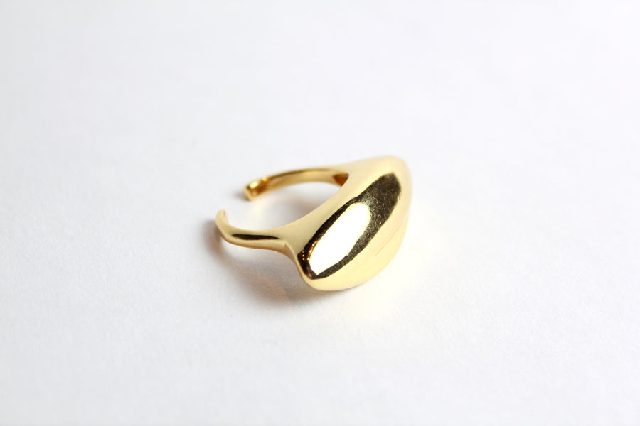 Anillo Bold Semilla