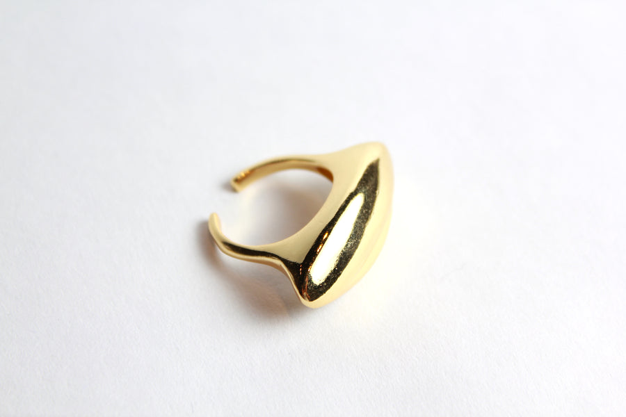 Anillo Bold Semilla