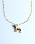 Collar perro dorado
