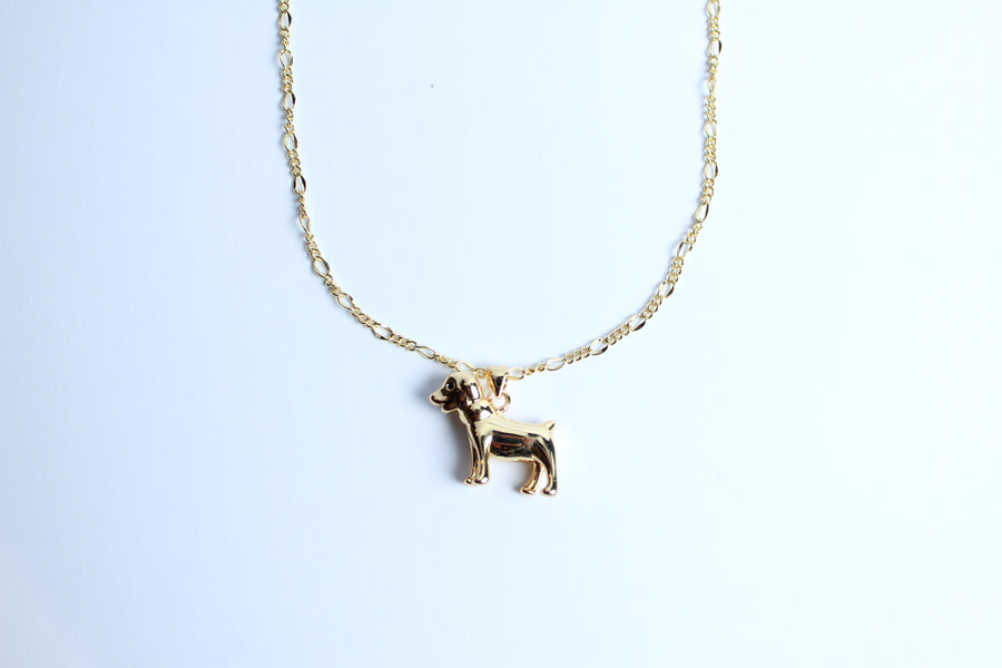 Collar perro dorado