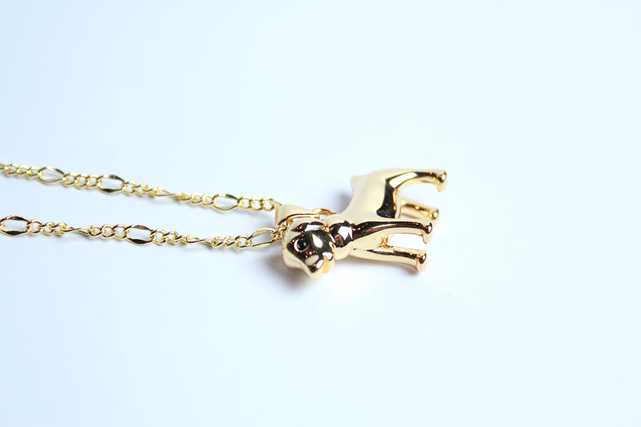 Collar perro dorado