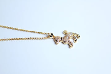 Collar perro zirconias