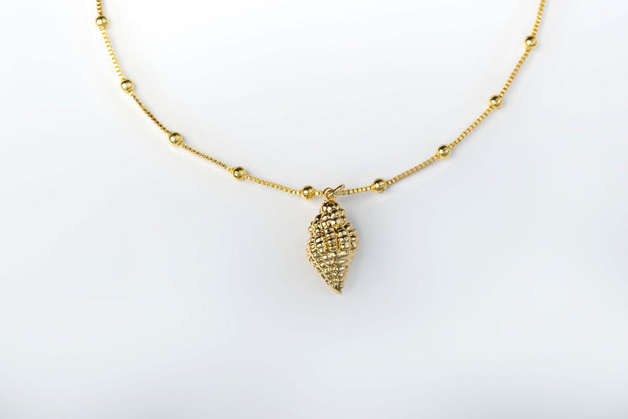 Collar Dije Caracol
