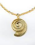 Collar Caracol Espiral