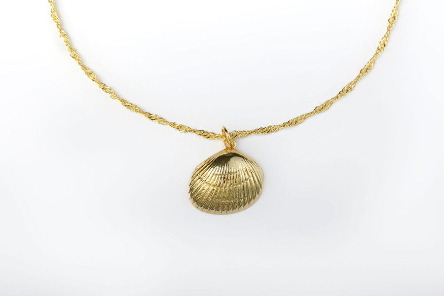 Collar Torzal con Concha de Mar