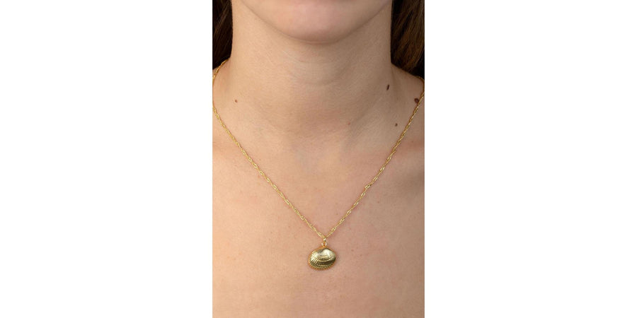 Collar Torzal con Concha de Mar