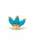 Piercings Acero Quirurgico IV