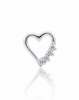 Piercings Acero Quirurgico VIII