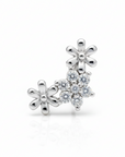 Piercings Acero Quirurgico IV
