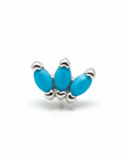 Piercings Acero Quirurgico IV