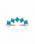 Piercings Acero Quirurgico IV