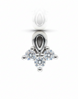 Piercings Acero Quirurgico VIII