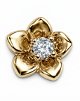 Piercings Acero Quirurgico IX