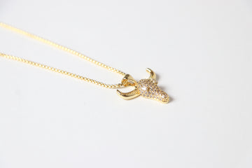 Collar de Toro con Zirconia