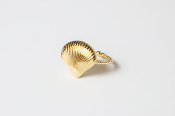 Anillo Concha Grande