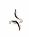 Anillo Curvas
