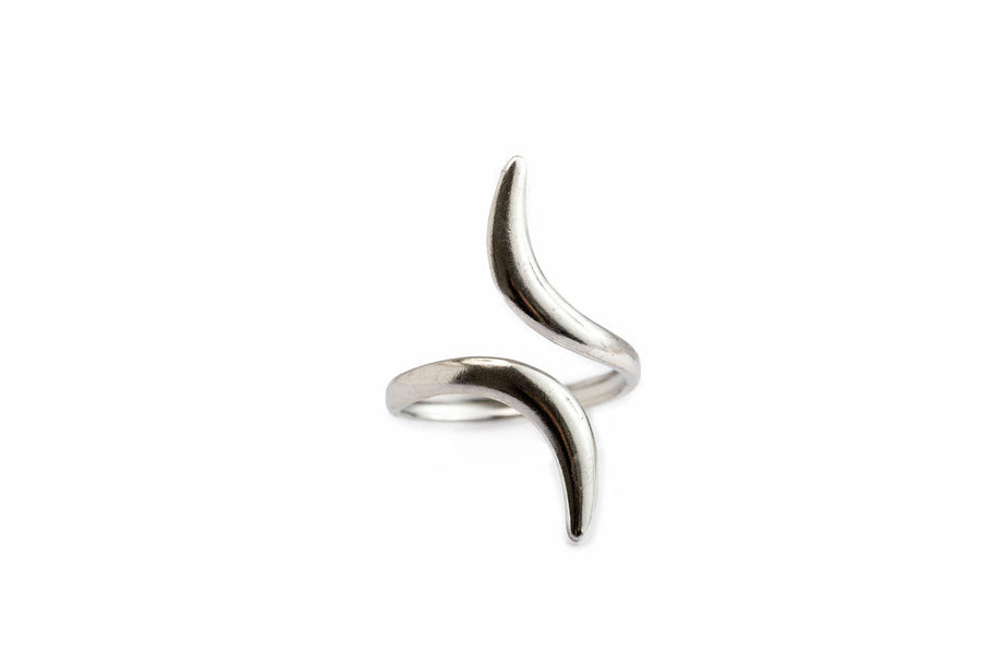 Anillo Curvas