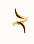 Anillo Curvas