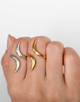 Anillo Curvas