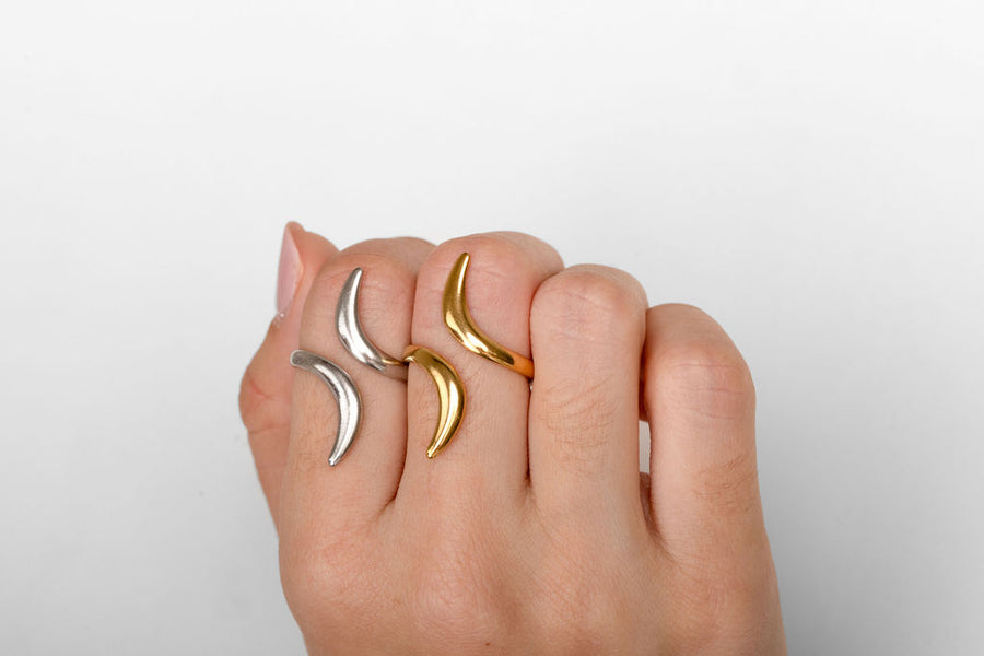 Anillo Curvas