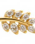 Piercings Acero Quirurgico I